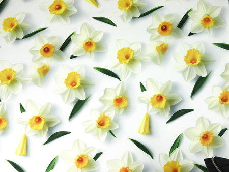 Wiosenna tkanina obrusowa drukowana "Narcyz"